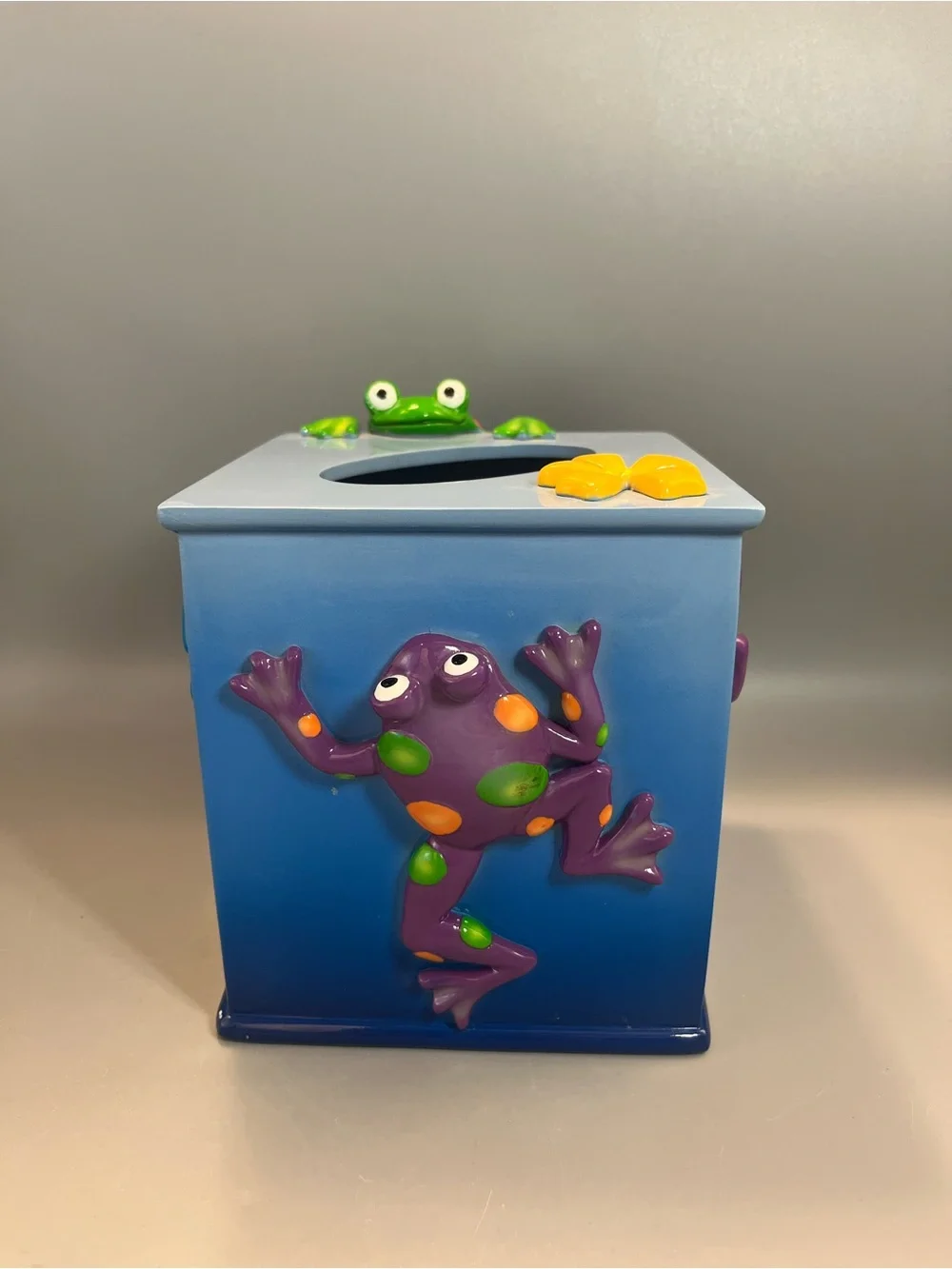 Jennifer Clark Blue Ombre 3D Tropical Frogs And Flowers Tissue Box Cover Holder